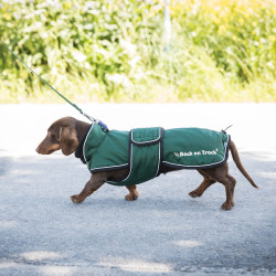 Manteau long pour chien Back on Track Buddy Vert Manteau long pour chien Back on Track Buddy Vert