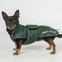 Manteau long pour chien Back on Track Buddy Vert Manteau long pour chien Back on Track Buddy Vert