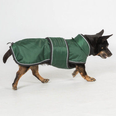 Manteau long pour chien Back on Track Buddy Vert Manteau long pour chien Back on Track Buddy Vert