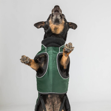 Manteau long pour chien Back on Track Buddy Vert Manteau long pour chien Back on Track Buddy Vert