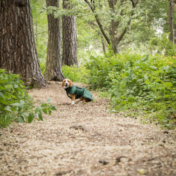 Manteau long pour chien Back on Track Buddy Vert Manteau long pour chien Back on Track Buddy Vert