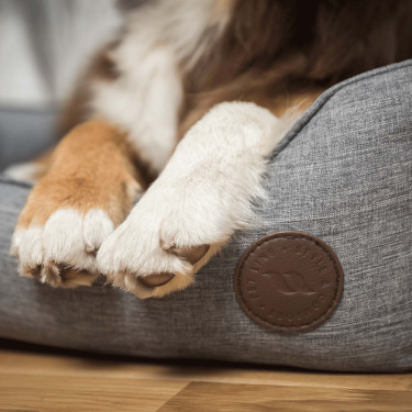 Panier pour Chien Rocky Back on Track Panier pour Chien Rocky Back on Track