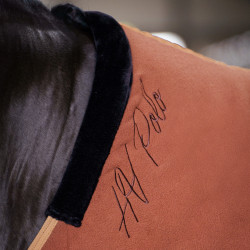 Couverture polaire HV Polo Nena Renard Marron
