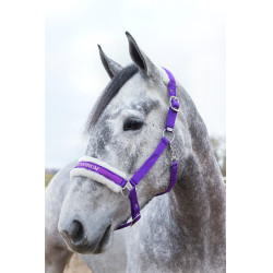 Licol Howard Crescendo Horze Violet Licol Howard Crescendo Horze Violet