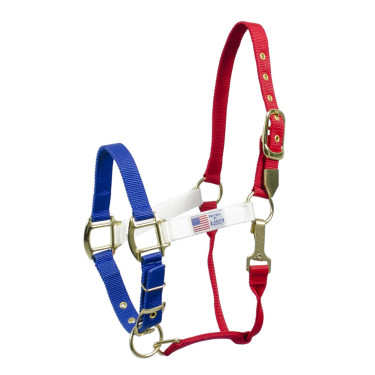 Licol en Nylon Couleurs USA Pool's Licol en Nylon Couleurs USA Pool's