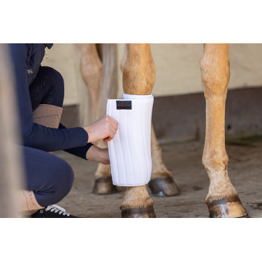 Sous-bande Covalliero Kerbl Blanc