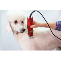 Tondeuse Favorita Speed Aesculap Rouge Tondeuse Favorita Speed Aesculap Rouge