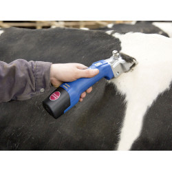 Tondeuse Aesculap sans fil Econom CL¹