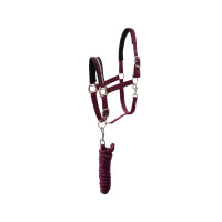 Ensemble licol Horze Eternal Gaze Potion violette