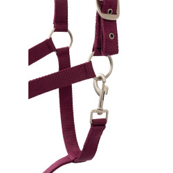 Ensemble licol Horze Eternal Gaze Potion violette Ensemble licol Horze Eternal Gaze Potion violette