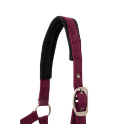 Ensemble licol Horze Eternal Gaze Potion violette Ensemble licol Horze Eternal Gaze Potion violette