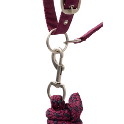 Ensemble licol Horze Eternal Gaze Potion violette Ensemble licol Horze Eternal Gaze Potion violette