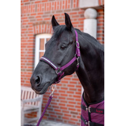 Ensemble licol Horze Eternal Gaze Potion violette Ensemble licol Horze Eternal Gaze Potion violette