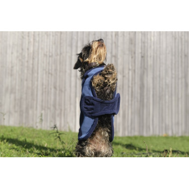 Couverture pour chien Equithème New Market Couverture pour chien Equithème New Market