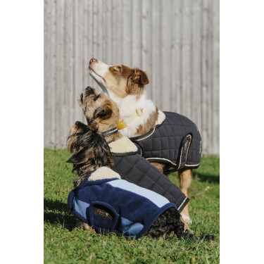 Couverture pour chien Equithème New Market Couverture pour chien Equithème New Market