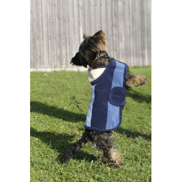 Couverture pour chien Equithème New Market Couverture pour chien Equithème New Market