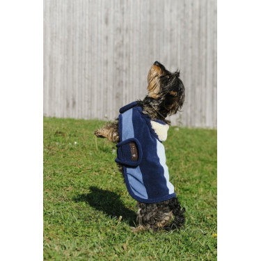 Couverture pour chien Equithème New Market Couverture pour chien Equithème New Market