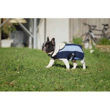 Couverture pour chien Equithème New Market Couverture pour chien Equithème New Market