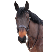 Bridon de chasse Canter Marron