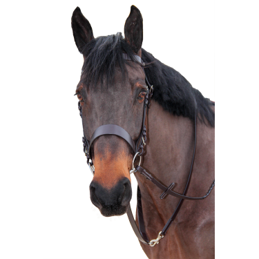Bridon de chasse Canter Bridon de chasse Canter