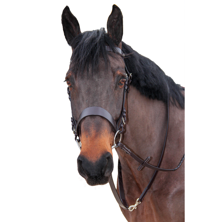 Bridon de chasse Canter