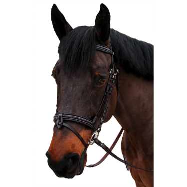 Bridon Canter bombé 1/2 rond Nino Bridon Canter bombé 1/2 rond Nino