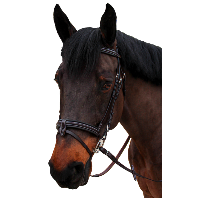 Bridon Canter bombé 1/2 rond Nino Marron