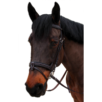 Bridon Canter bombé 1/2 rond Nino Marron