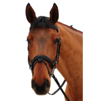 Bridon Canter Mylord Noir / noir