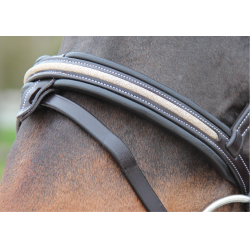 Bridon Canter Mylord