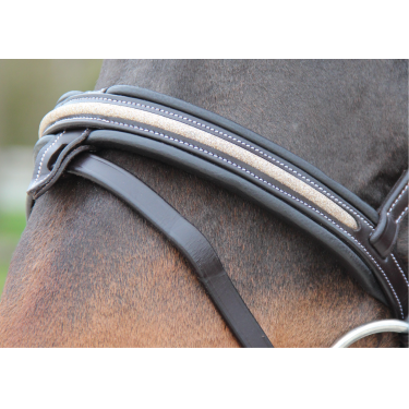 Bridon Canter Mylord Bridon Canter Mylord