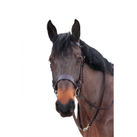 Rênes bredies Canter Marron