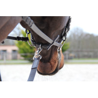 Longe de chasse Canter Marron