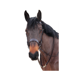 Longe de chasse Canter Marron Longe de chasse Canter Marron