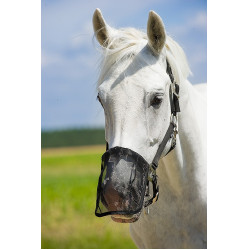 Protège naseaux maille anti-mouches Protège naseaux maille anti-mouches