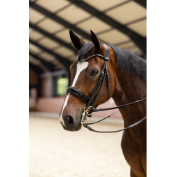 Bride Glamourdale Weymouth Horze Noir Bride Glamourdale Weymouth Horze Noir