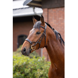 Bridon Chio Horze Cognac Marron