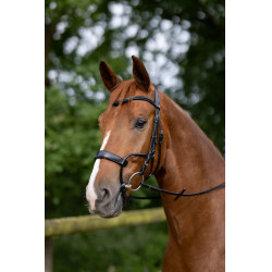 Bridon Chio Horze Noir