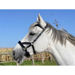 Side-pull cuir T de T Noir Side-pull cuir T de T Noir