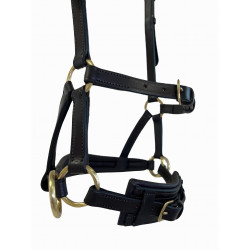 Side-pull cuir T de T Havane foncé Marron