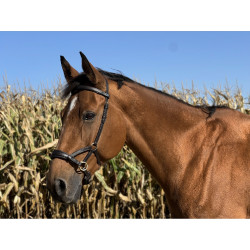 Side-pull cuir T de T Havane foncé Marron