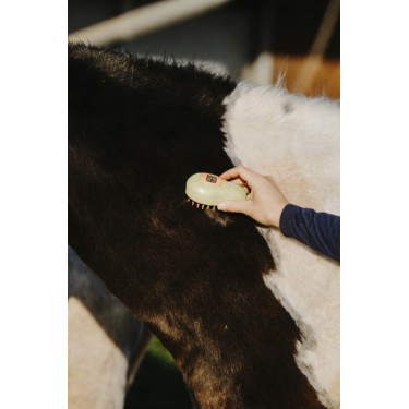 Etrille Hippotonic Vapeur Etrille Hippotonic Vapeur