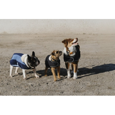Couverture pour chien Equithème New Market Couverture pour chien Equithème New Market