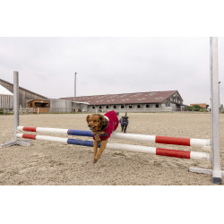 Couverture polaire Diego & Louna Teddy Bordeaux Couverture polaire Diego & Louna Teddy Bordeaux