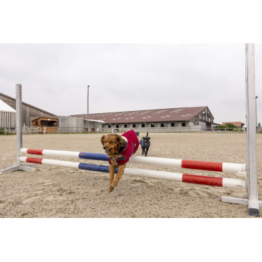 Couverture polaire Diego & Louna Teddy Couverture polaire Diego & Louna Teddy