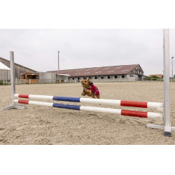 Couverture polaire Diego & Louna Teddy Bordeaux Couverture polaire Diego & Louna Teddy Bordeaux