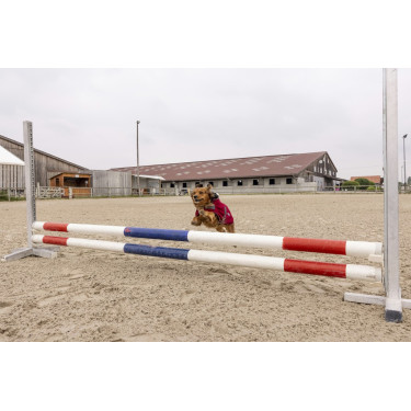 Couverture polaire Diego & Louna Teddy Couverture polaire Diego & Louna Teddy