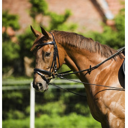 Enrênement élastique réglable Enrênement élastique réglable