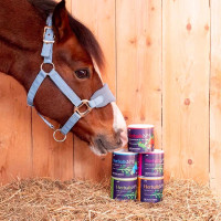 Herballs Hilton Herbs N° 1 Menthe & Origan Herballs Hilton Herbs N° 1 Menthe & Origan