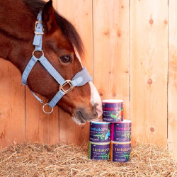 Herballs Hilton Herbs N° 1 Menthe & Origan